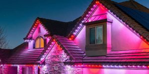 What Does the Trimlight Warranty Actually Cover?